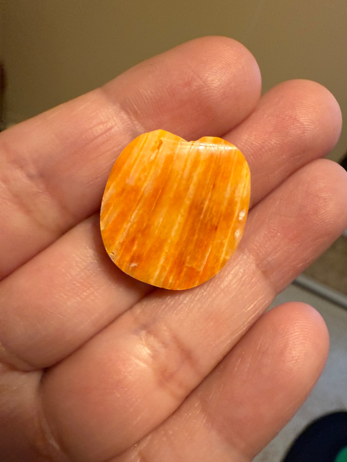 Reserved: Custom Order