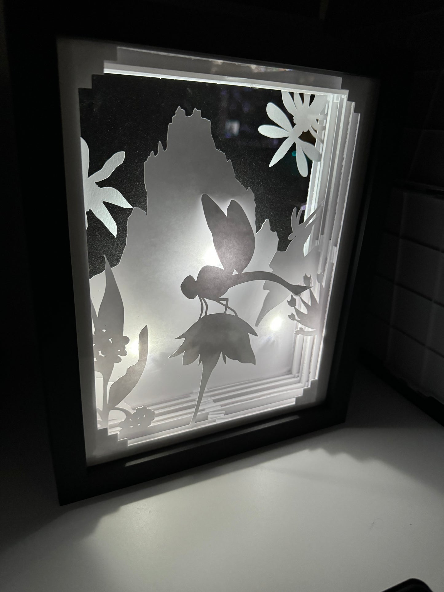 Dragonfly Shadowbox