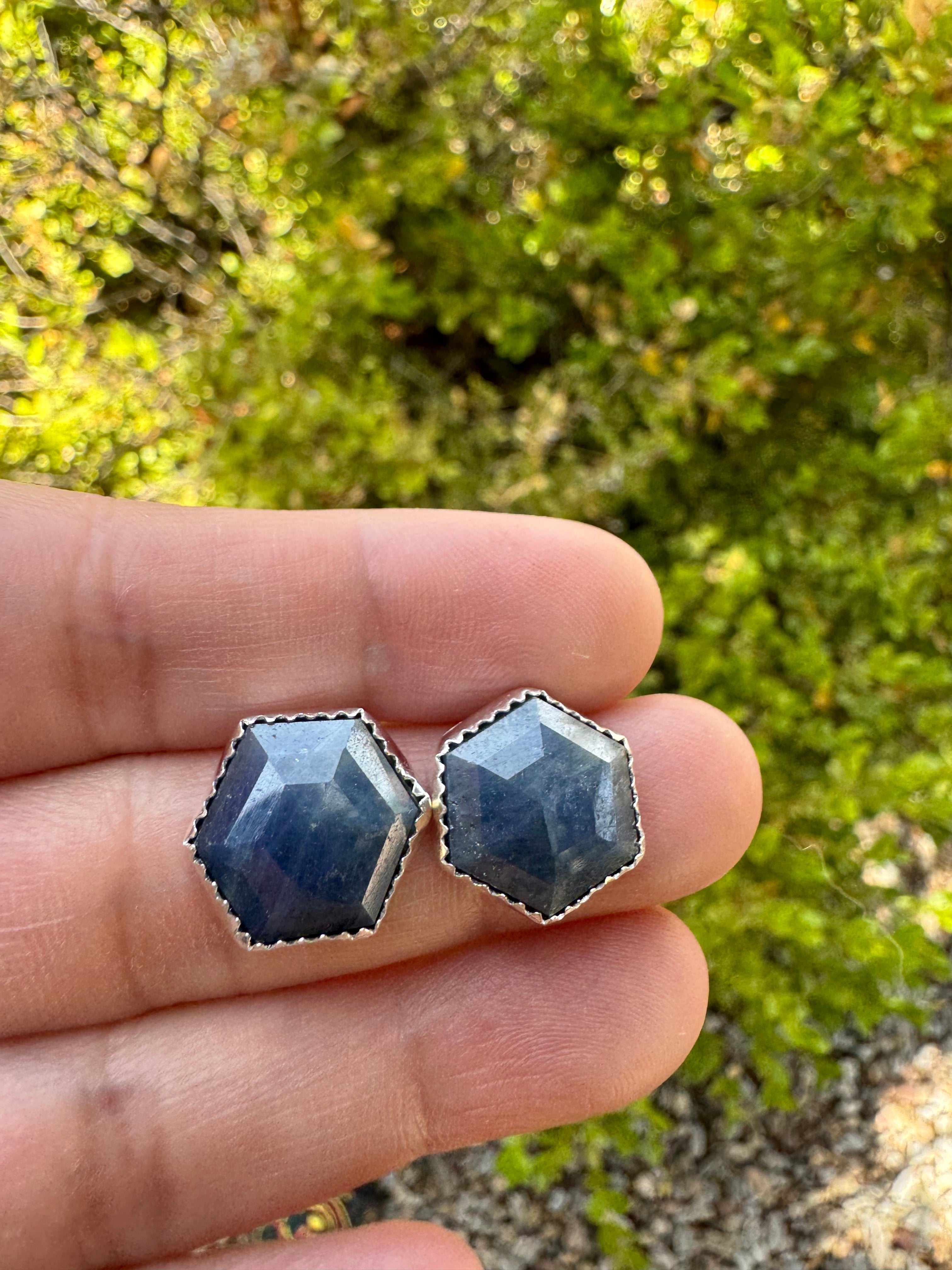 Sodalite Earrings
