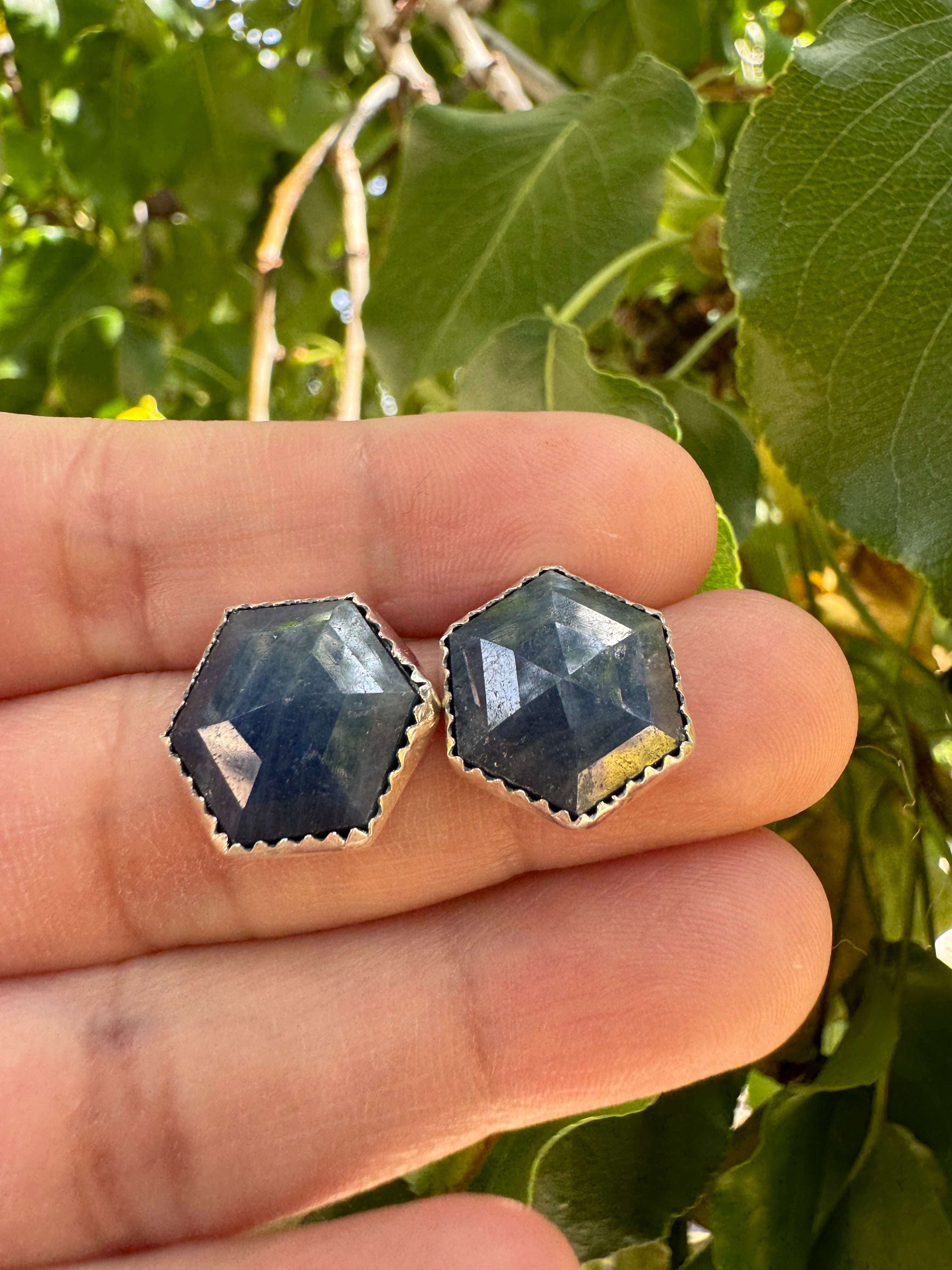 Sodalite Earrings