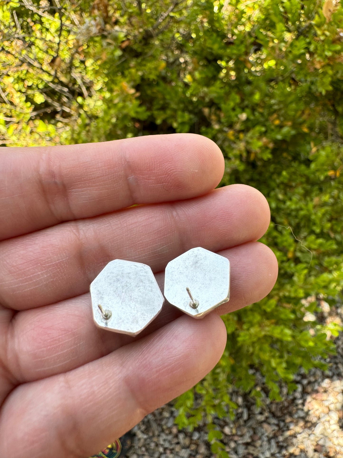 Sodalite Earrings