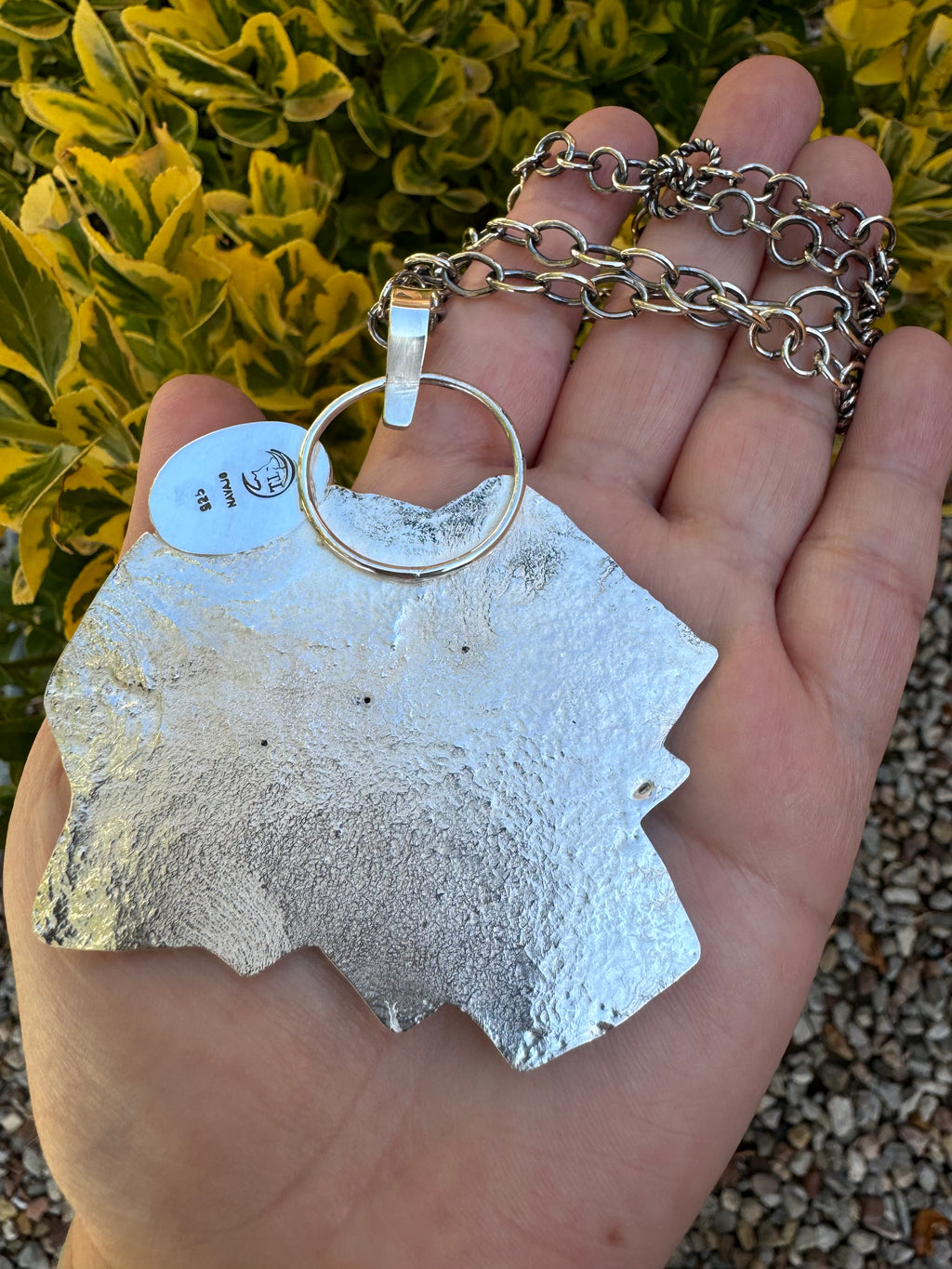 Navajo Dragonfly Journey Pendant