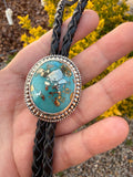 Persian Turquoise Turquoise Bolo Tie
