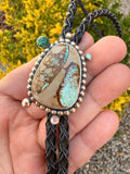Royston Turquoise Bolo Tie