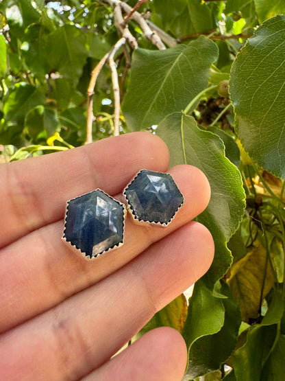 Sodalite Earrings