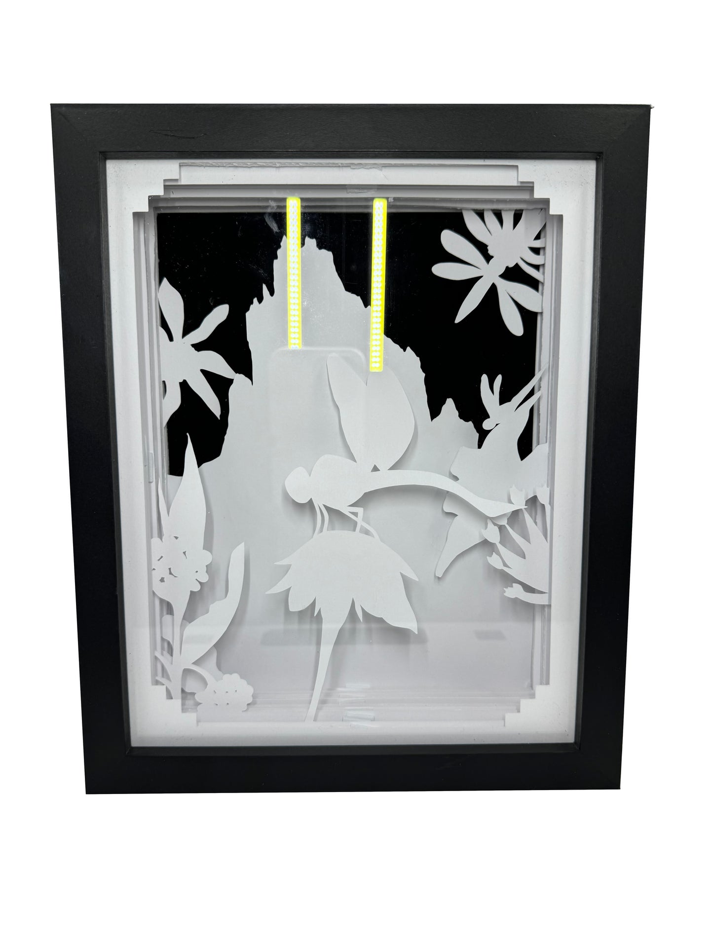 Dragonfly Shadowbox