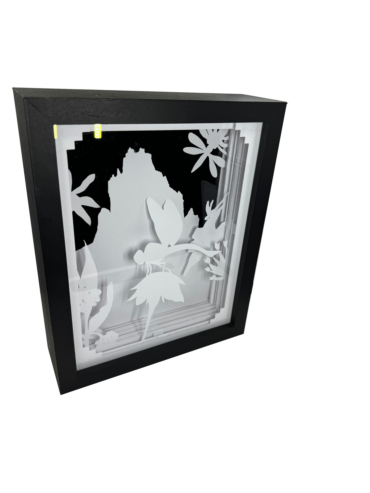 Dragonfly Shadowbox