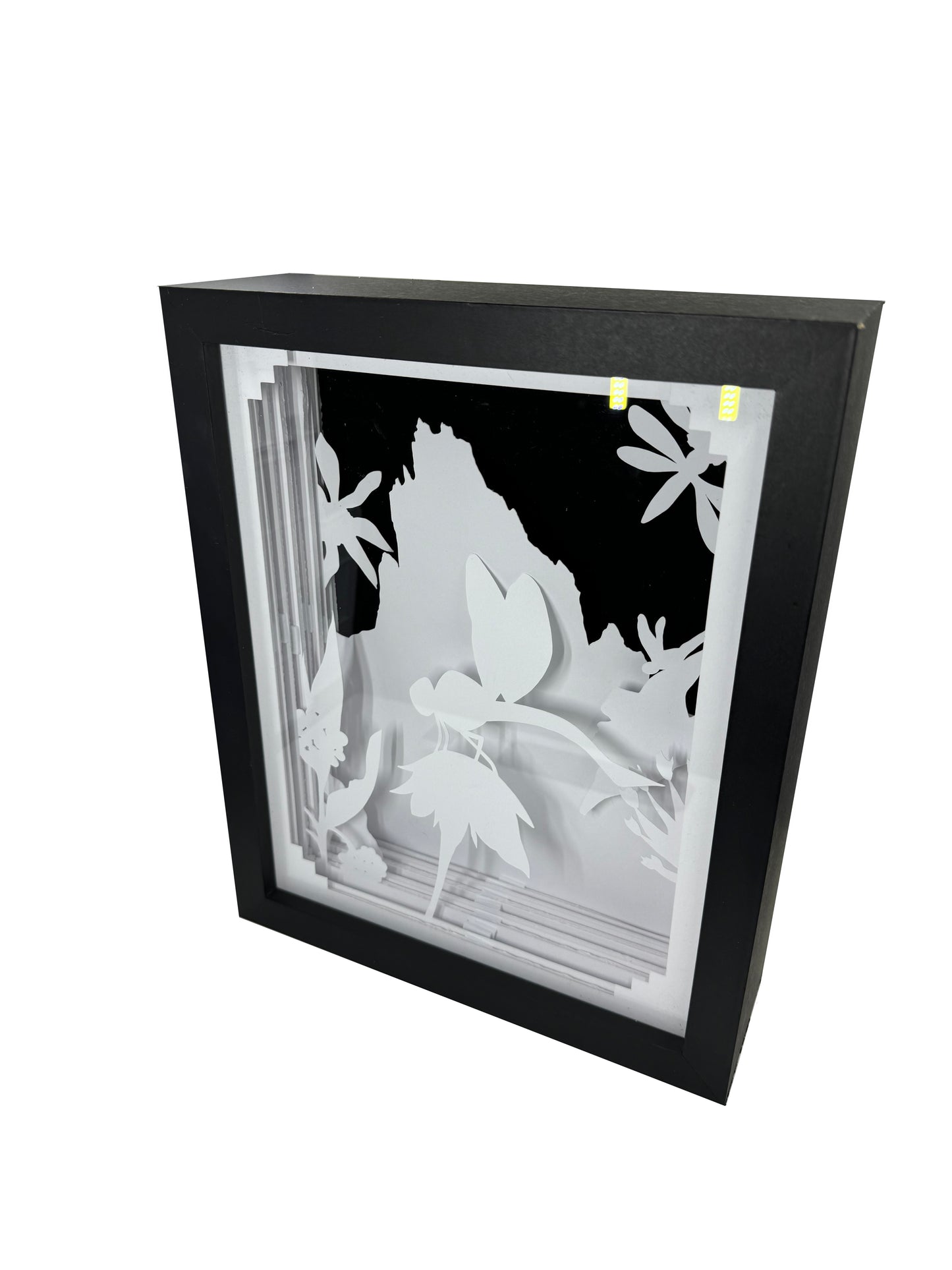 Dragonfly Shadowbox