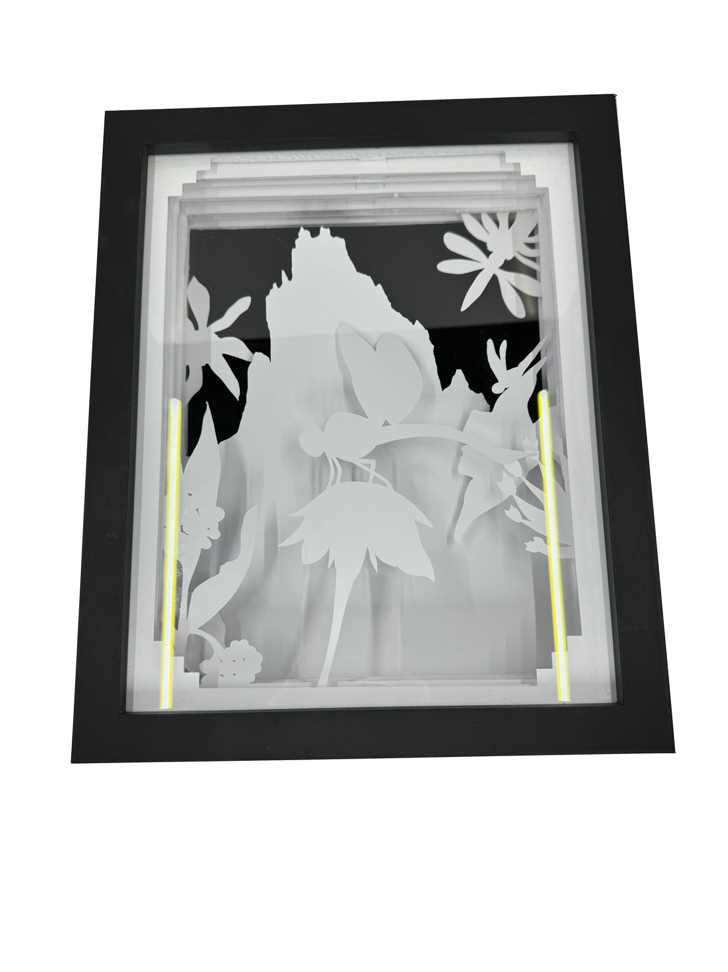 Dragonfly Shadowbox