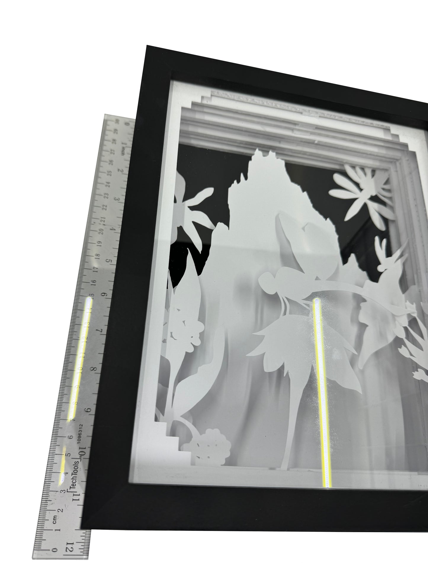 Dragonfly Shadowbox