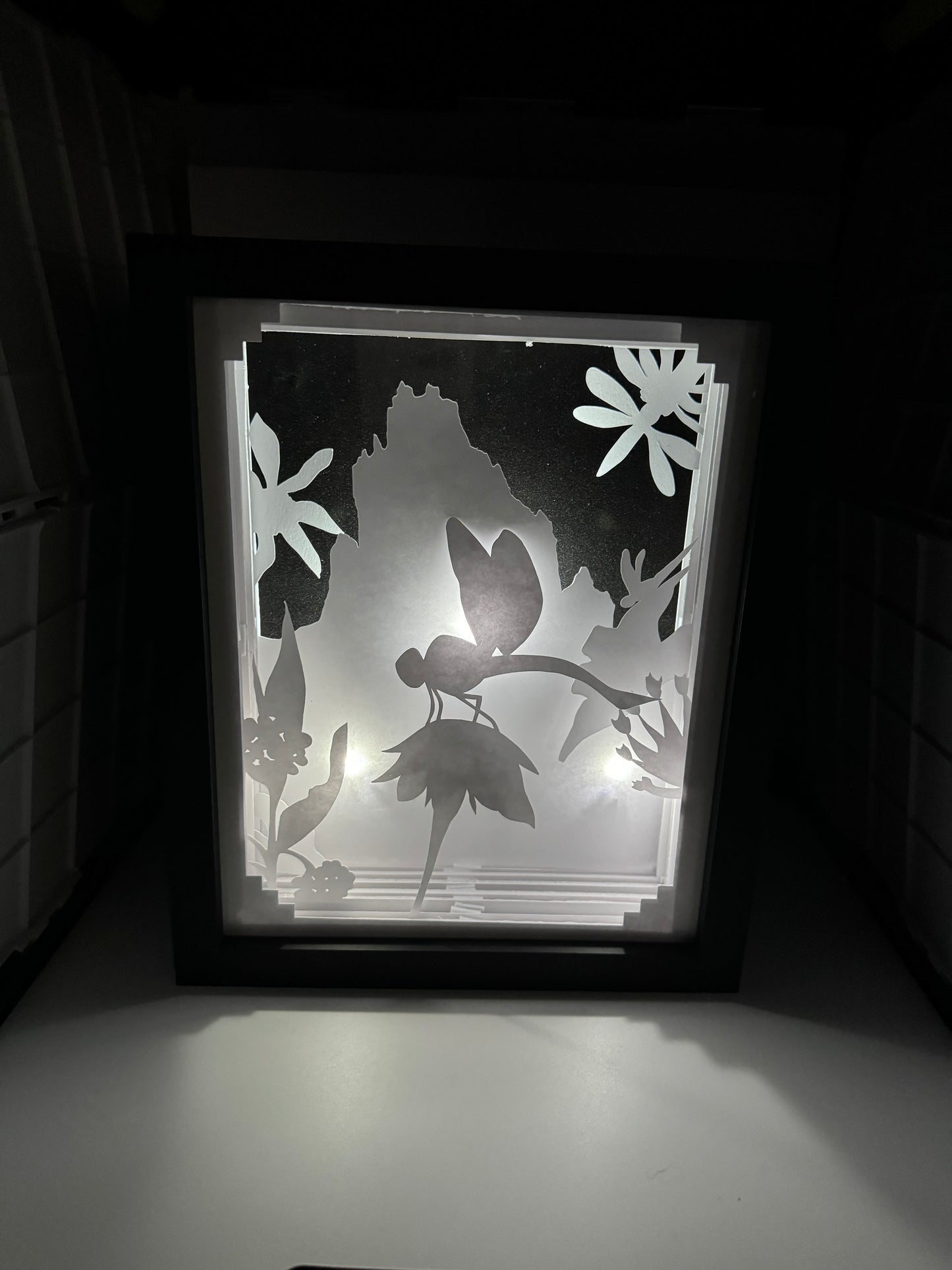 Dragonfly Shadowbox