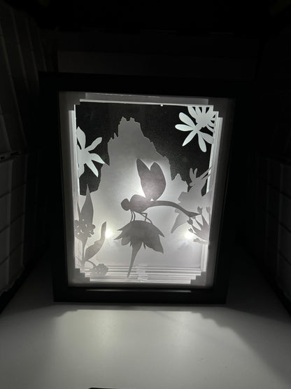 Dragonfly Shadowbox