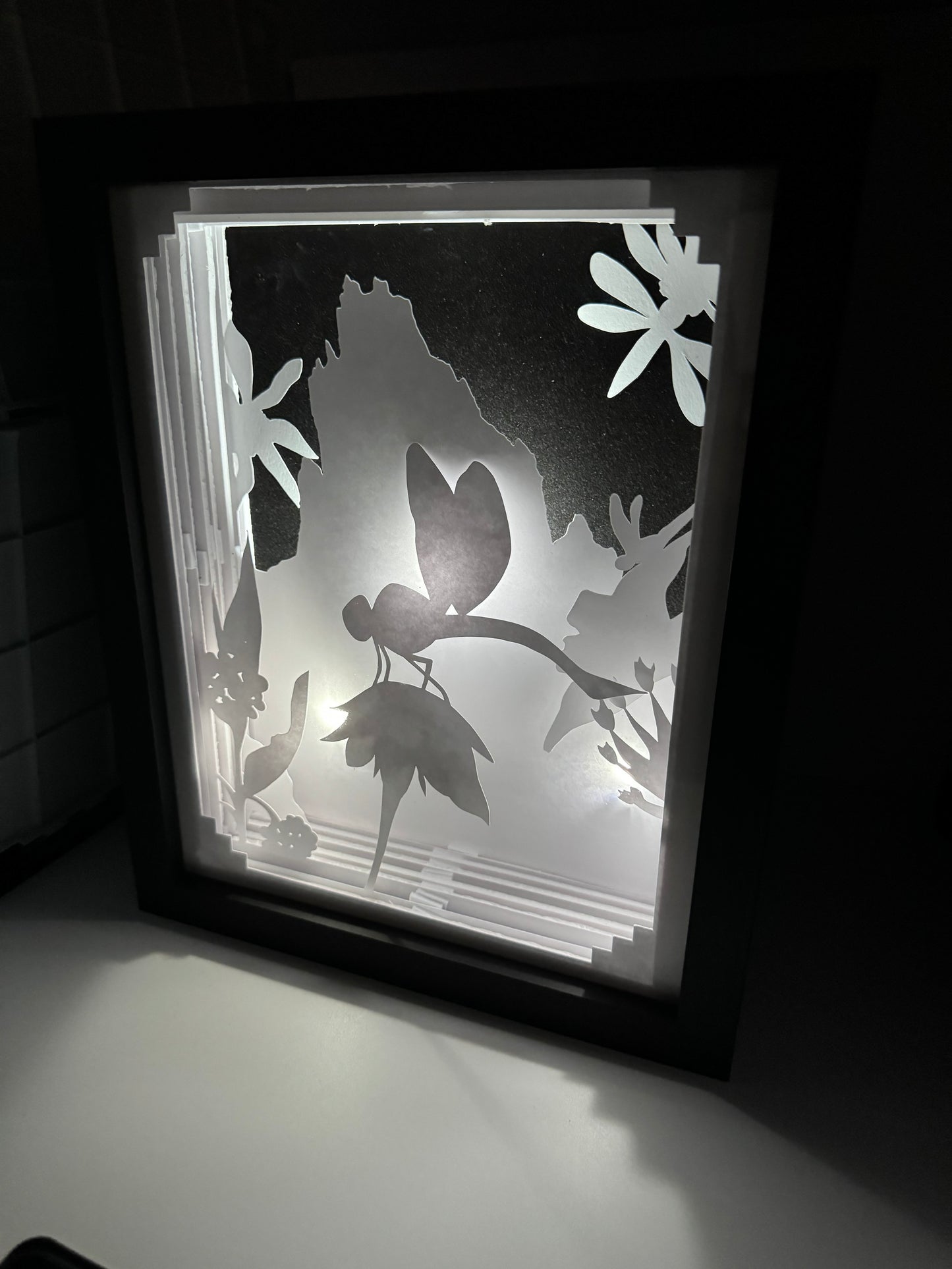 Dragonfly Shadowbox