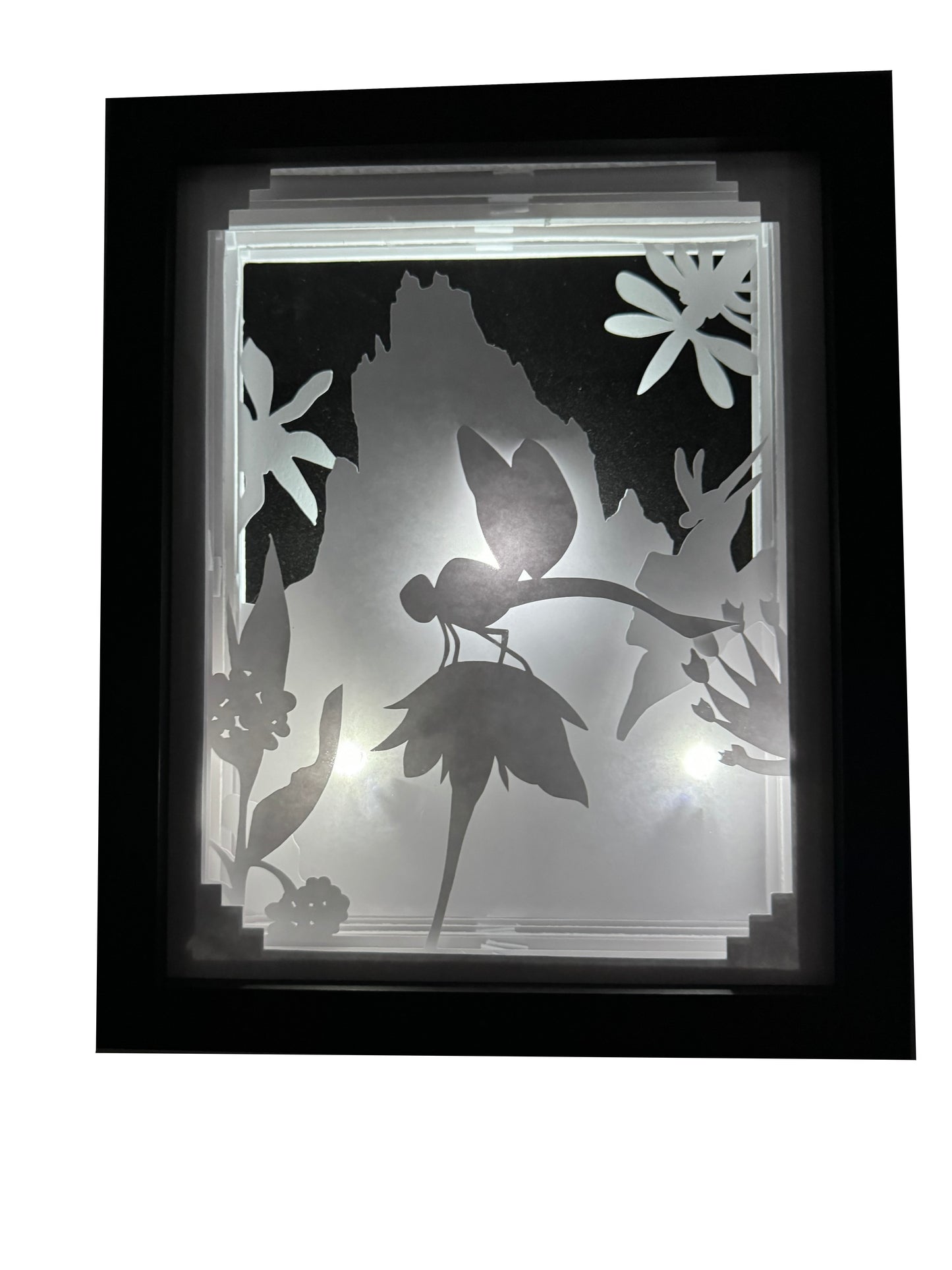 Dragonfly Shadowbox